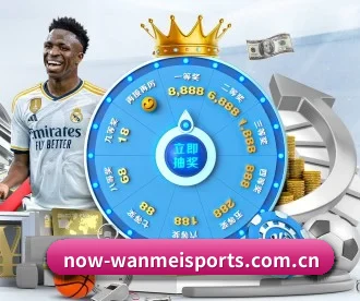 完美体育平台 APP 深度功能 - wmsports