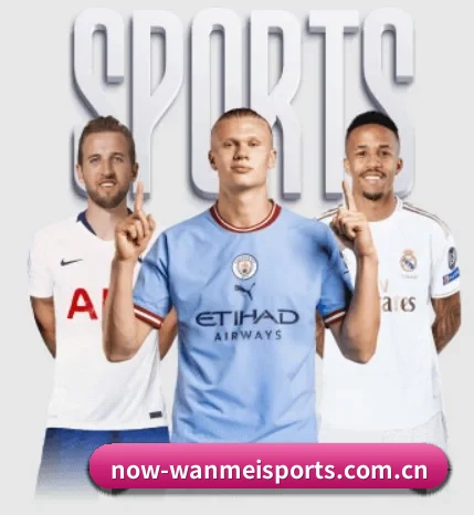 五个功能入口,赛程查询路径更短 | wmsports